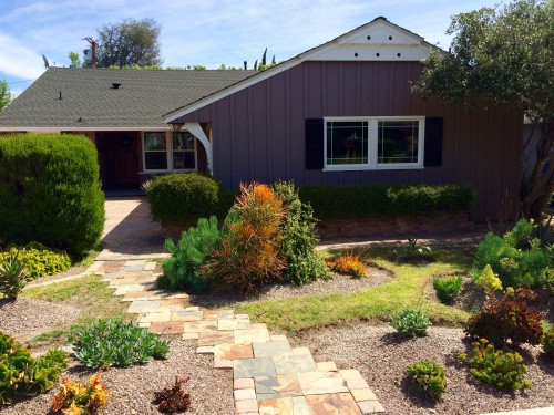 We've been slowly turning our front yard into a drought tolerant succulent garden. Fun project!